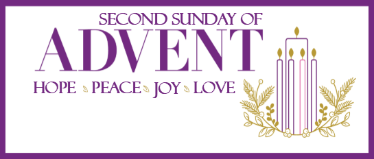 December 8, 2019 Bulletin